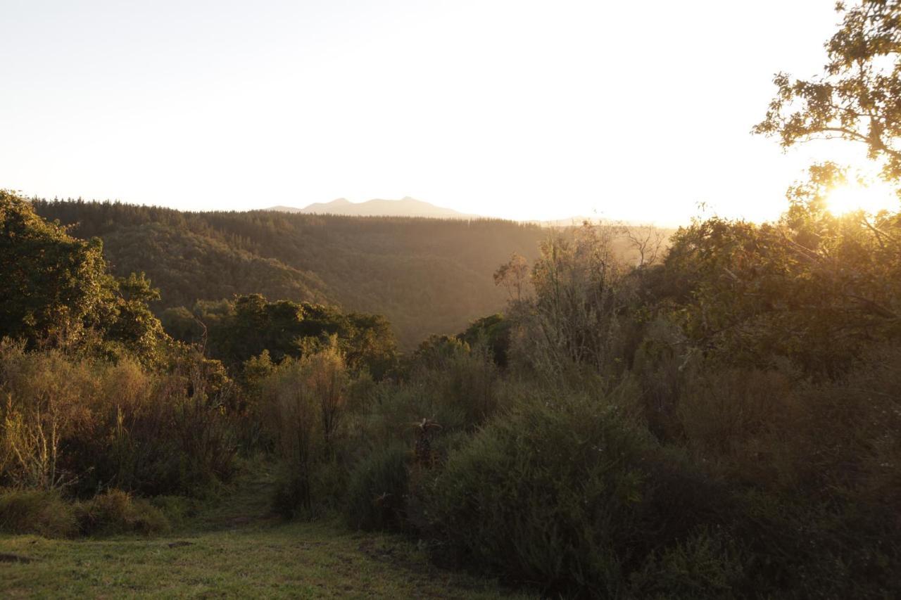 Forest Hills Knysna Exterior foto