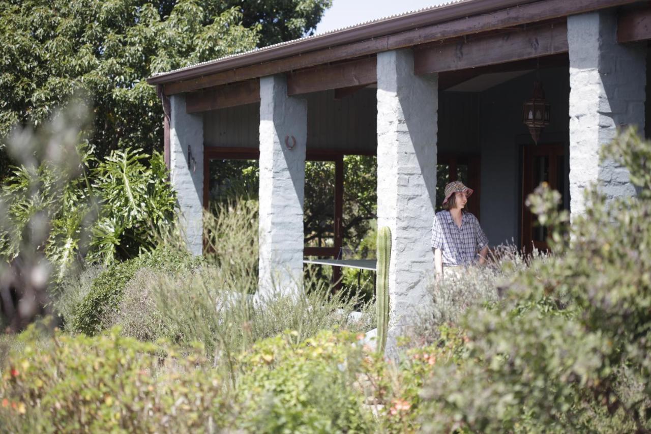 Forest Hills Knysna Exterior foto