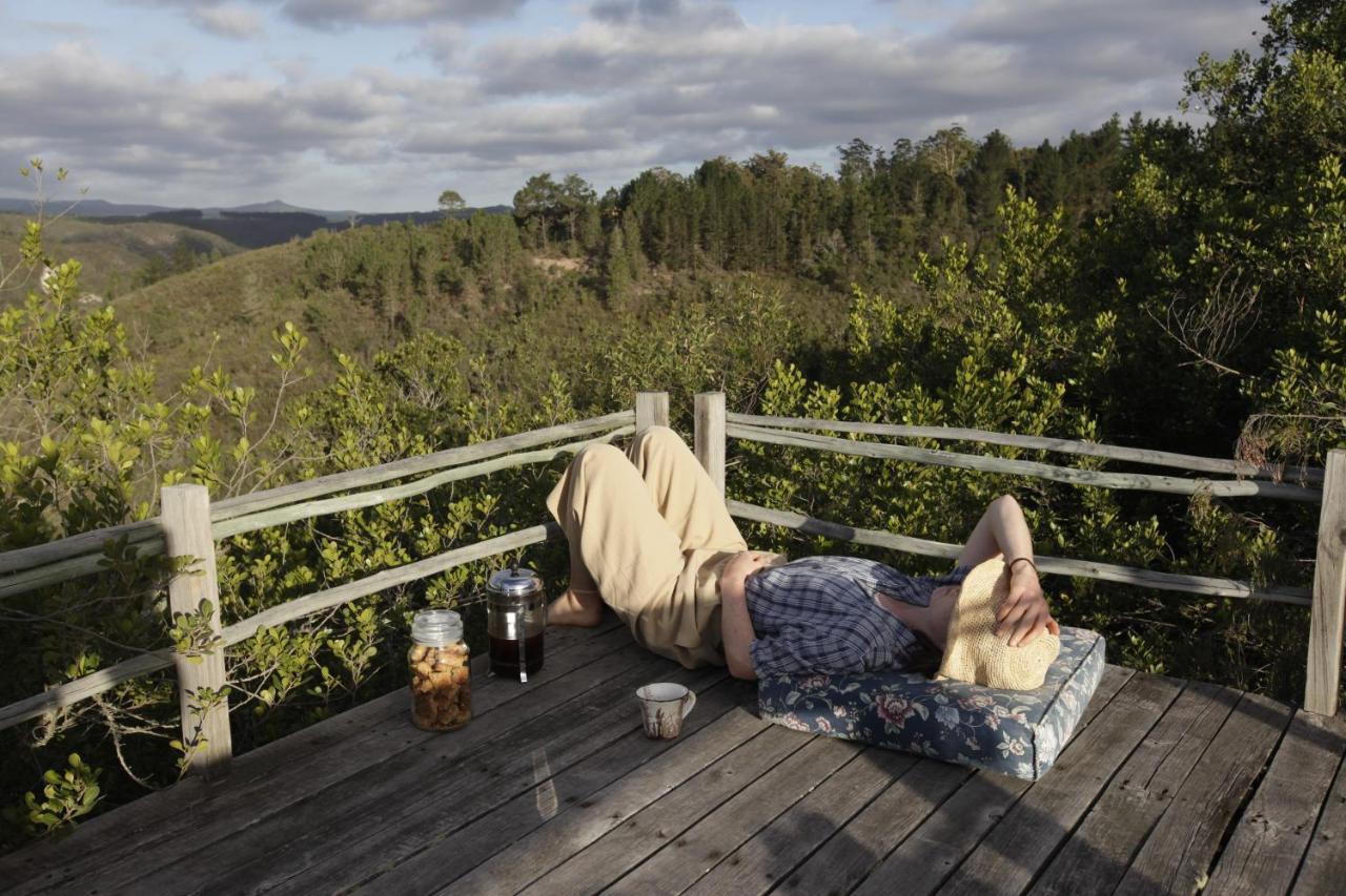 Forest Hills Knysna Exterior foto
