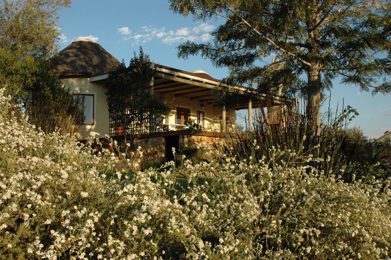 Forest Hills Knysna Exterior foto